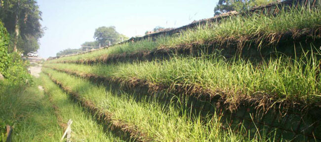 TenCate Miramesh GR, SG, FR & TR Woven Mesh Geosynthetics