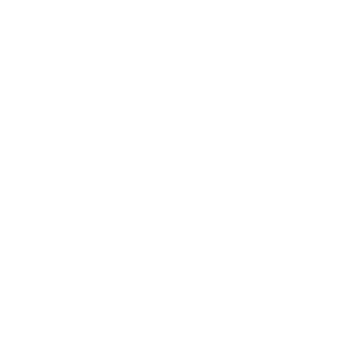 Icon Sub Stabilization Light